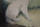 Dtail 2